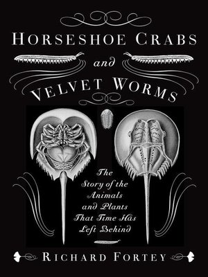 cover image of Horseshoe Crabs and Velvet Worms